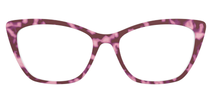 The Maroon Tortoise