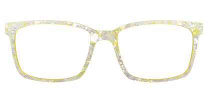 The Buttercup Pearl Tortoise