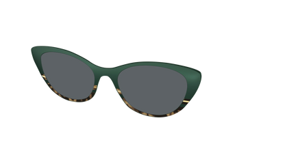 The Polarized Spruce Tortoise Sun Top