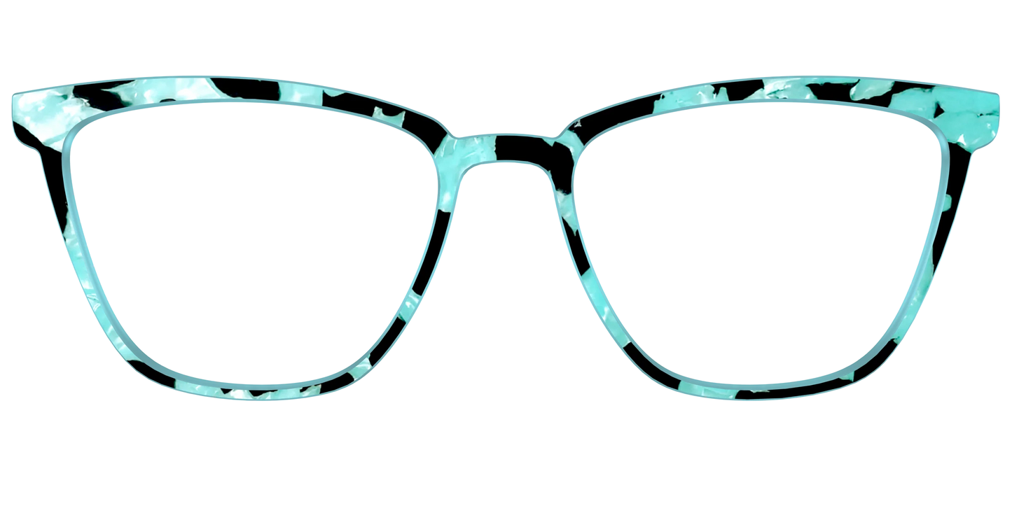 The Robin's Egg Pearl Tortoise
