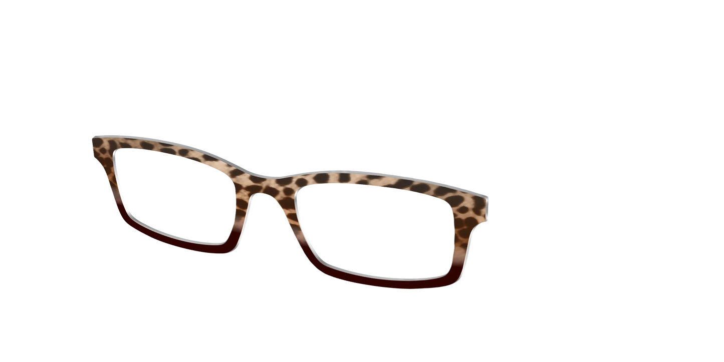 The Jungle Cat Tortoise