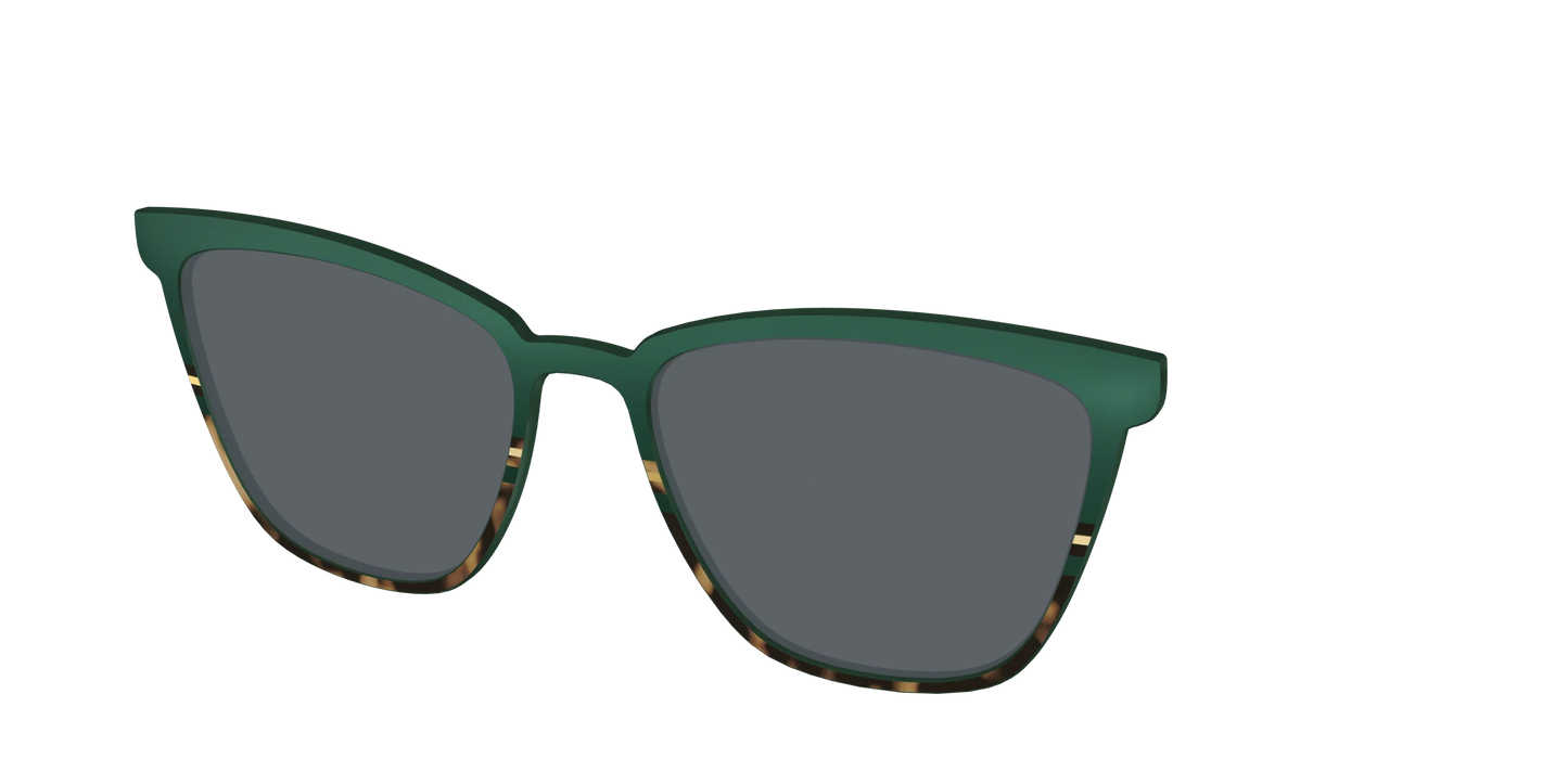 The Polarized Spruce Tortoise Sun Top