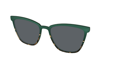 The Polarized Spruce Tortoise Sun Top
