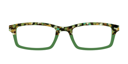 The Forest Tortoise Crystal Split