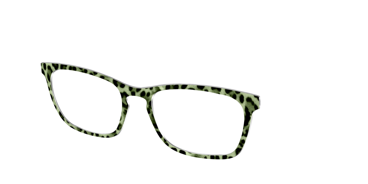 The Lucky Leopard