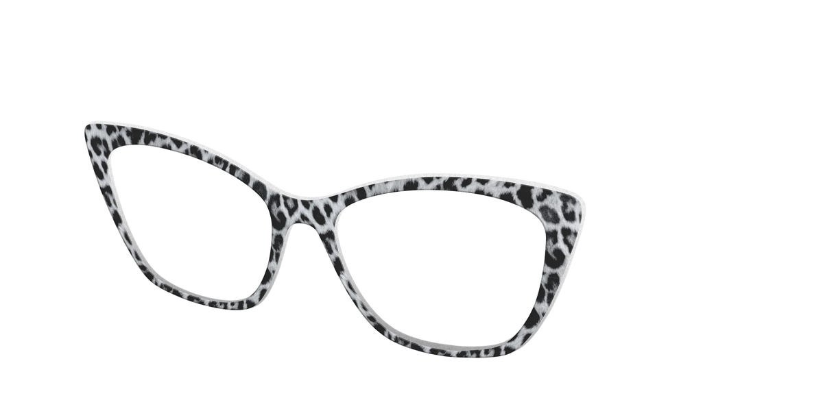The Snow Leopard Spots