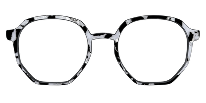 The Black & White Pearl Tortoise