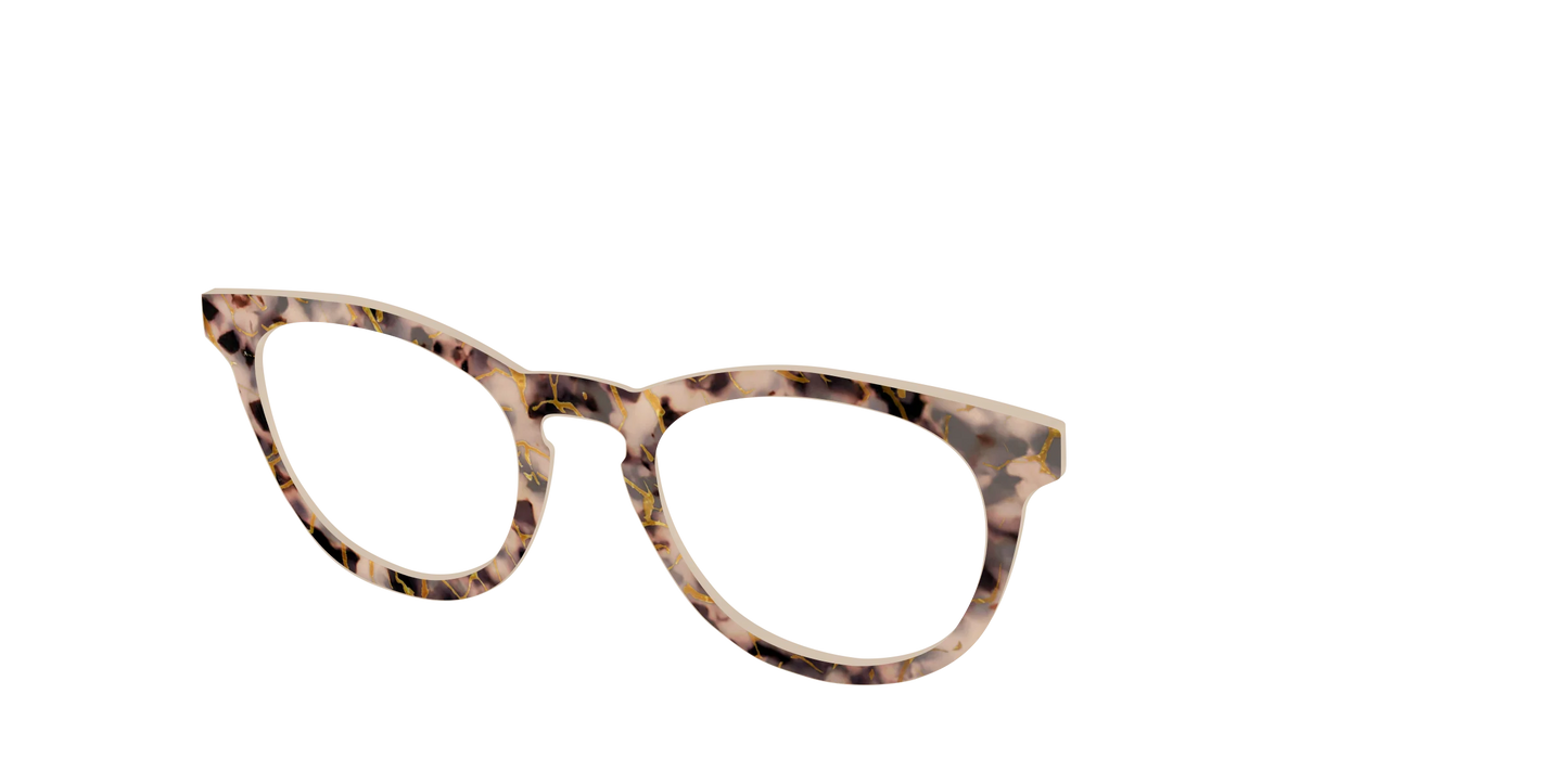 The Almond Tortoise with Gold Streaks