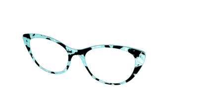 The Robin's Egg Pearl Tortoise