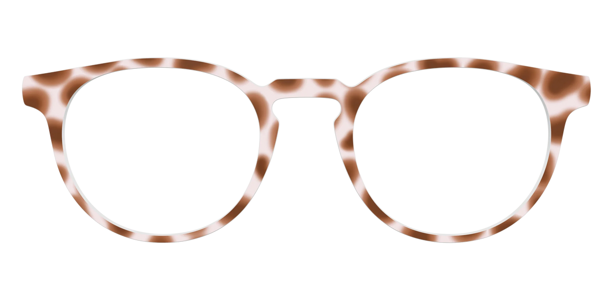 The Caffé Tortoise