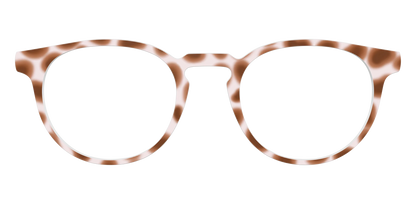 The Caffé Tortoise