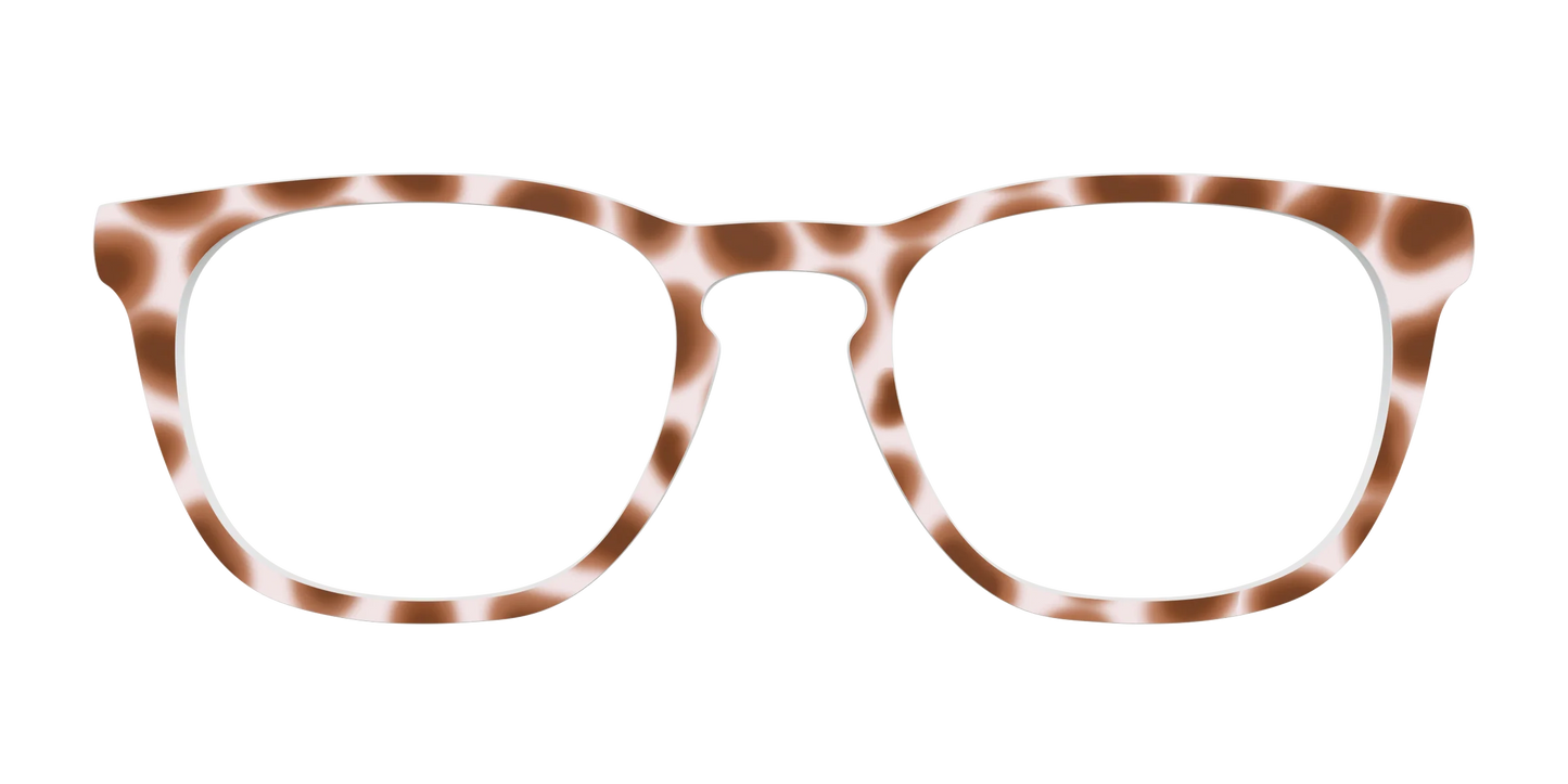 The Caffé Tortoise