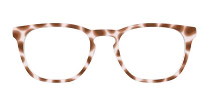 The Caffé Tortoise