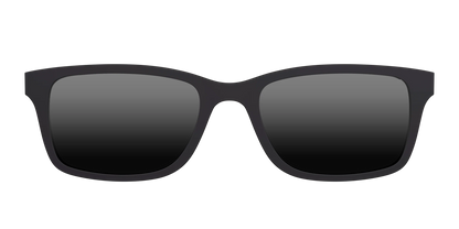 The Polarized Black Sun Top