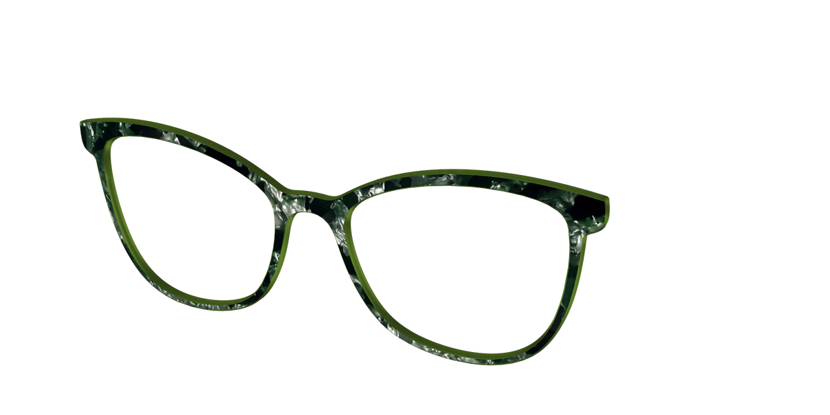 The Olive Pearl Tortoise