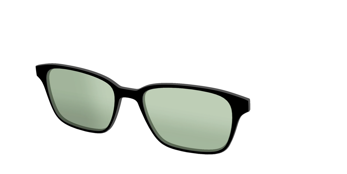 The Black With Sage Green Lens