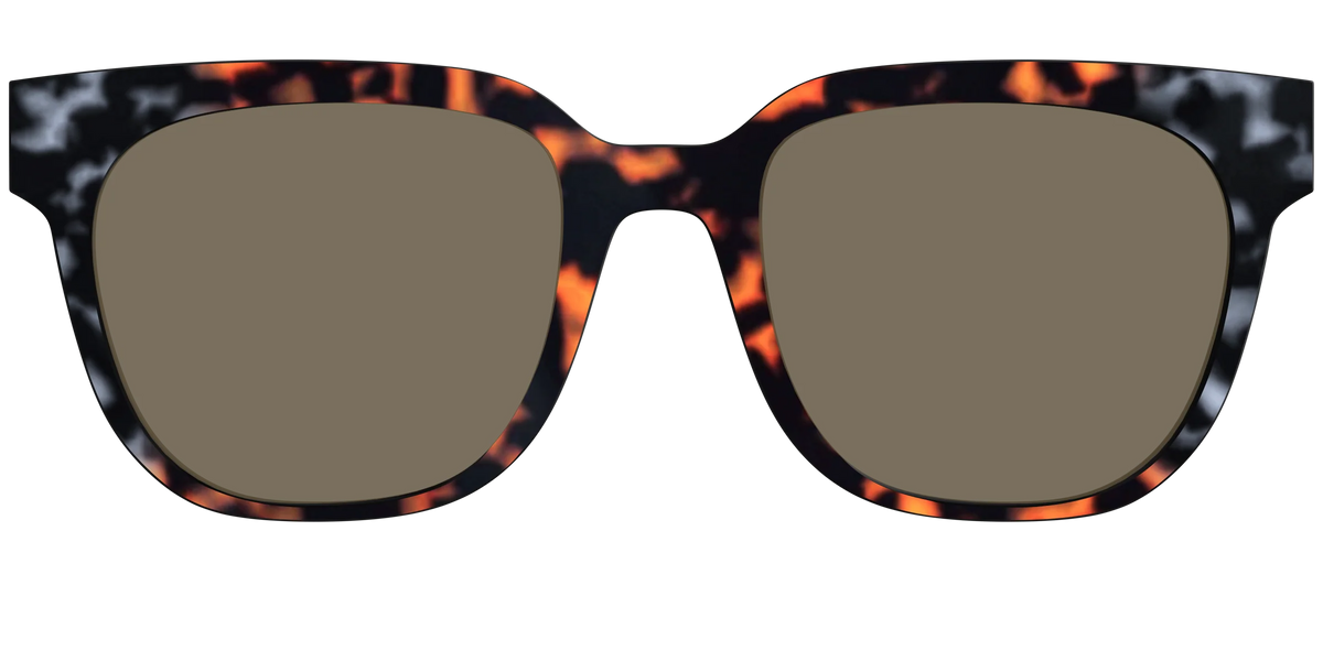 The Polarized Gray & Amber Tortoise Sun Top