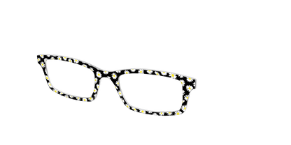 The Black Daisy