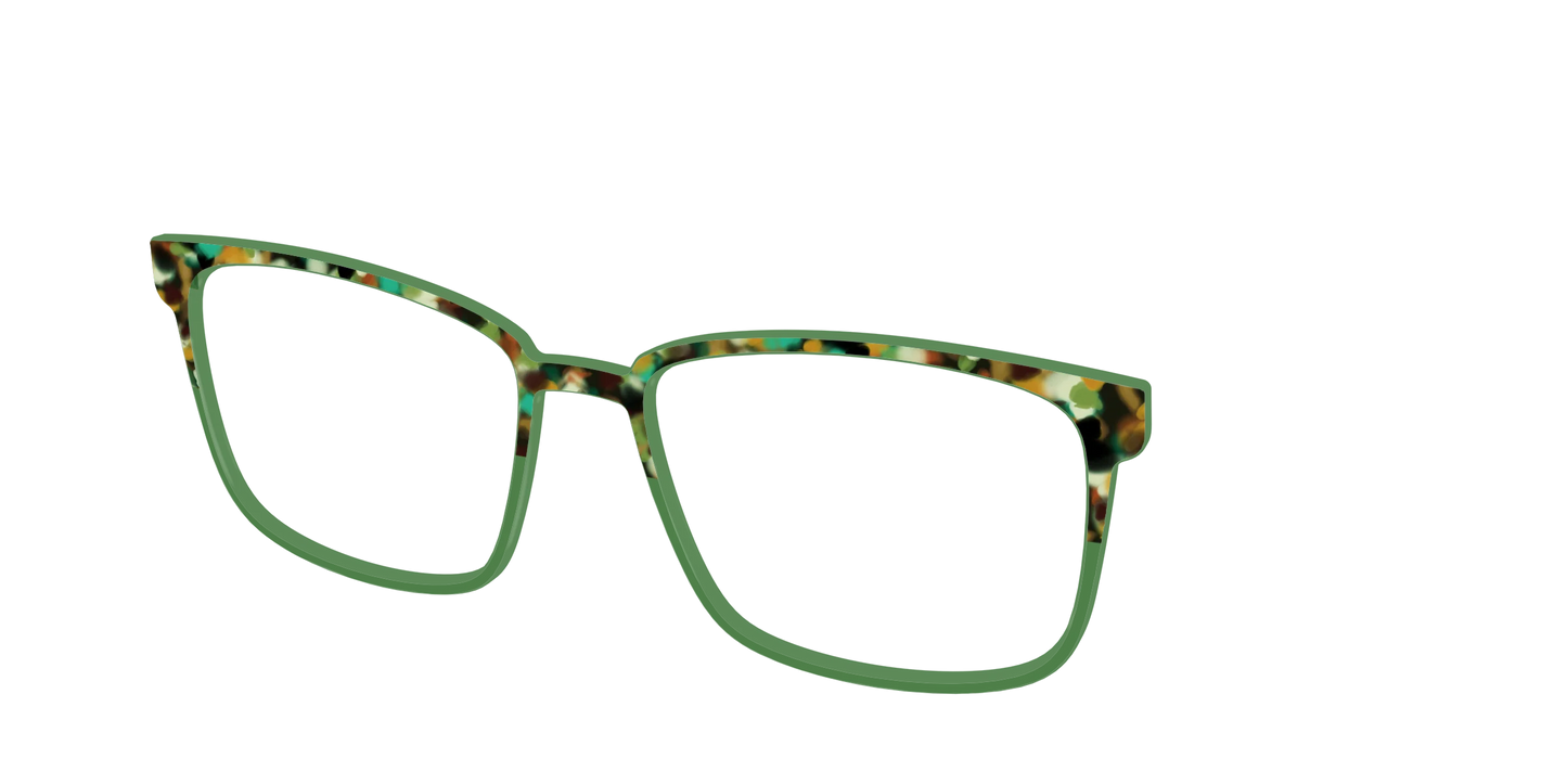 The Forest Tortoise Crystal Split