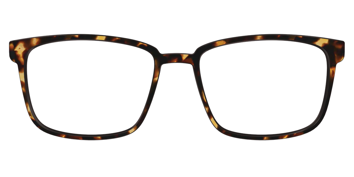 The Tortoise