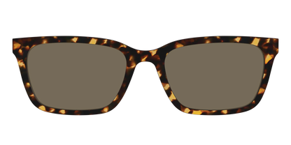 The Non-Polarized Tortoise Sun Top