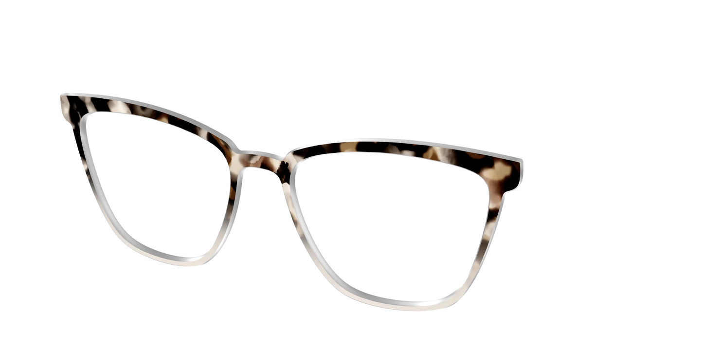 The Vanilla Latte Tortoise