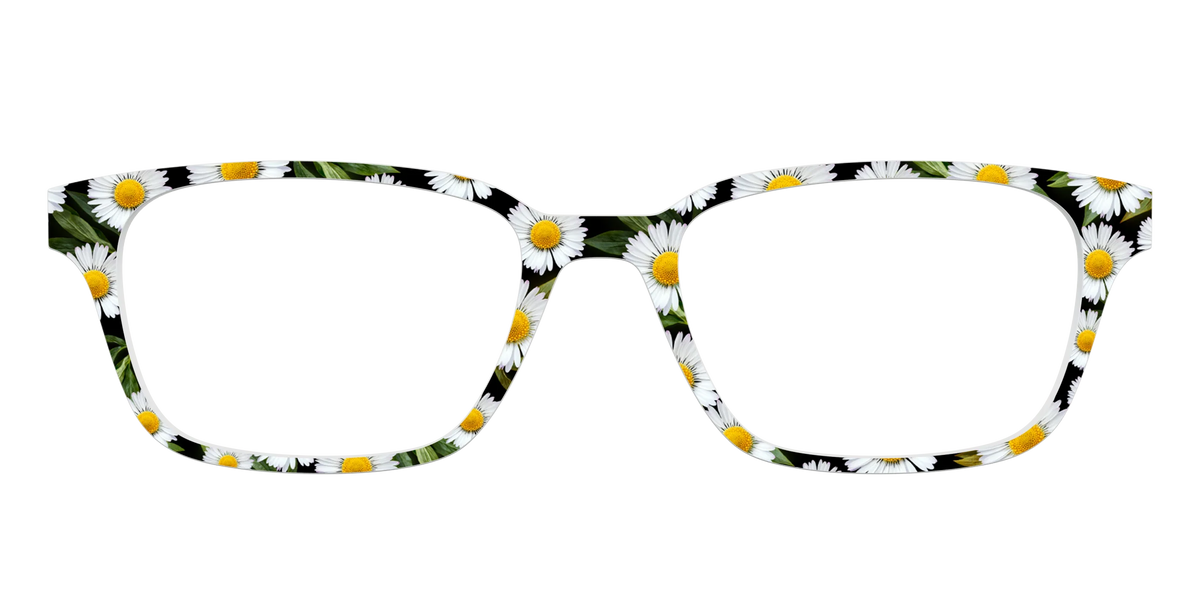 The Delicate Daisies