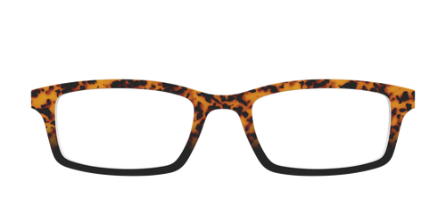 The Amber Tort