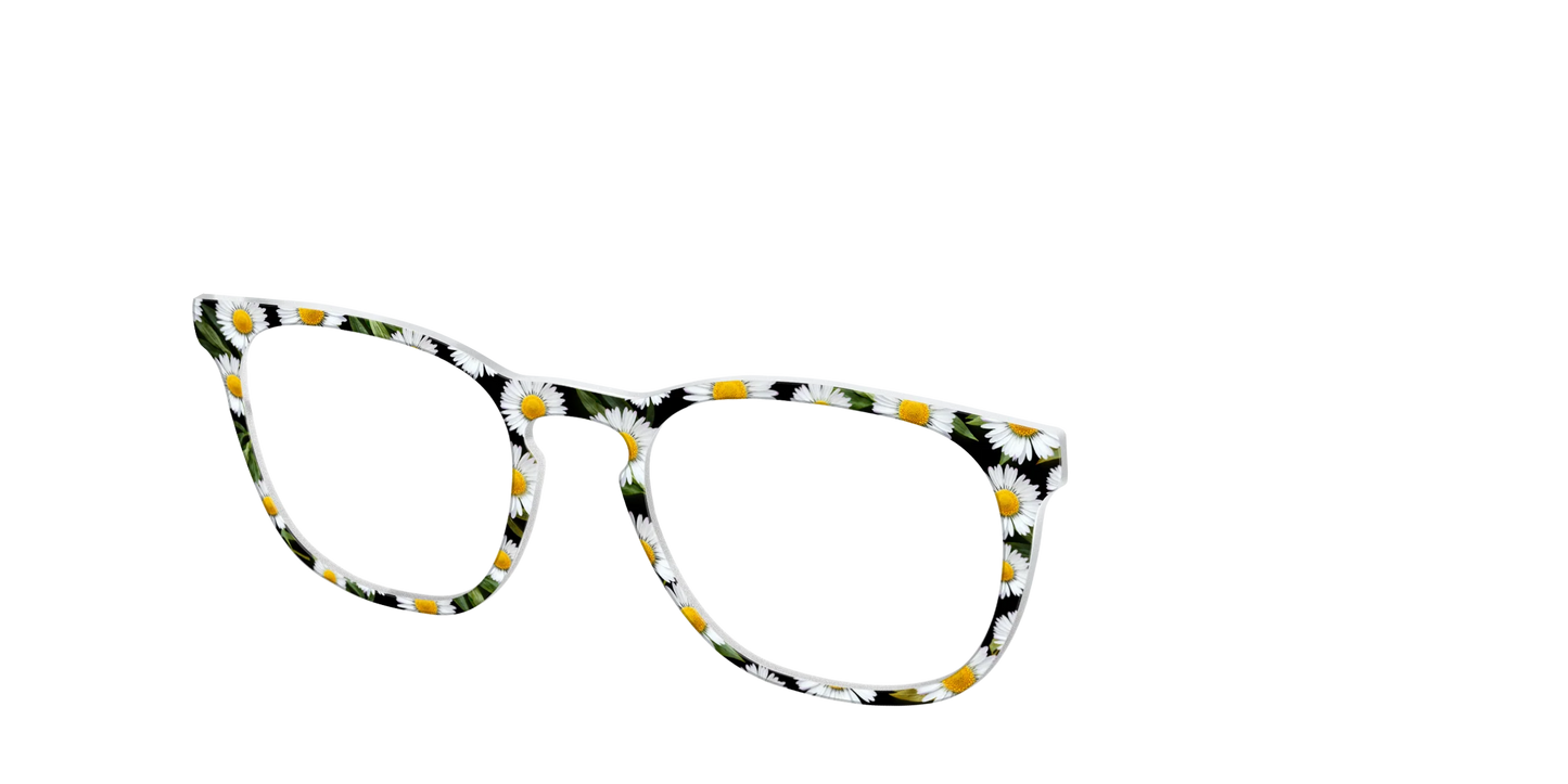 The Delicate Daisies