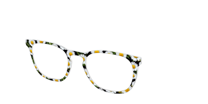The Delicate Daisies