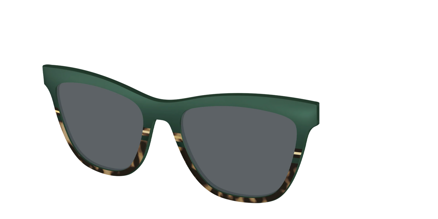 The Polarized Spruce Tortoise Sun Top