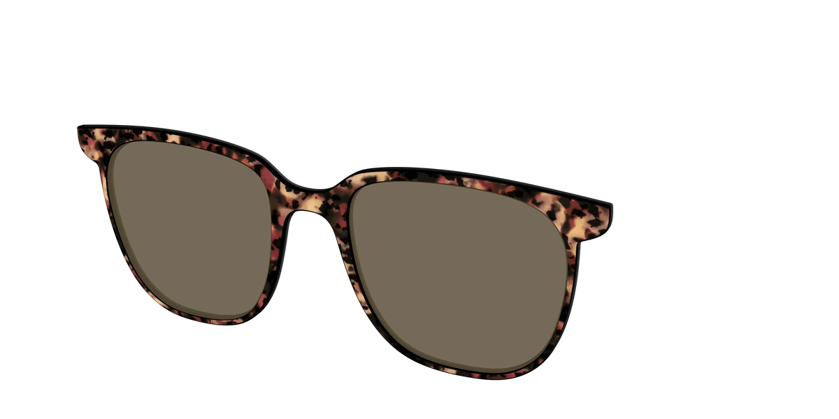 The Polarized Sienna Tortoise Sun Top