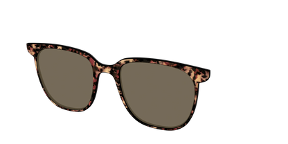 The Polarized Sienna Tortoise Sun Top