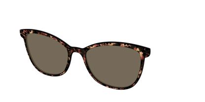 The Polarized Sienna Tortoise Sun Top