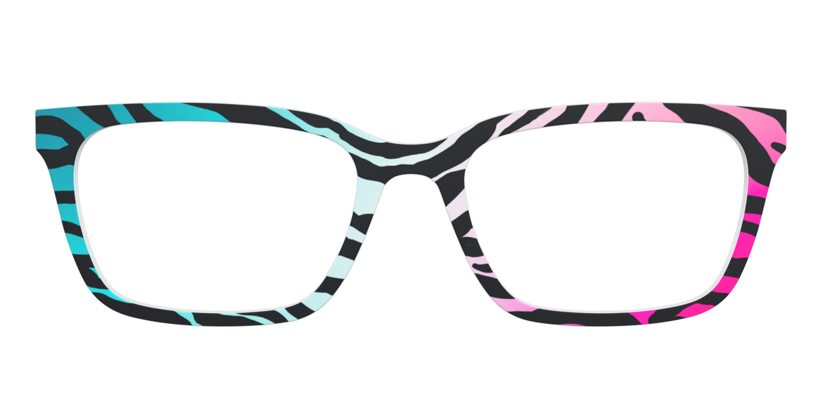 The Rainbow Zebra