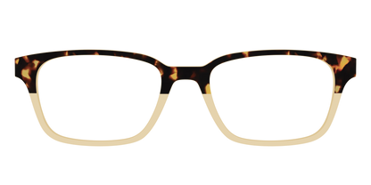 The Amber Tortoise Crystal Split