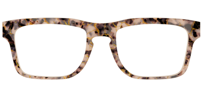 The Almond Tortoise with Gold Streaks