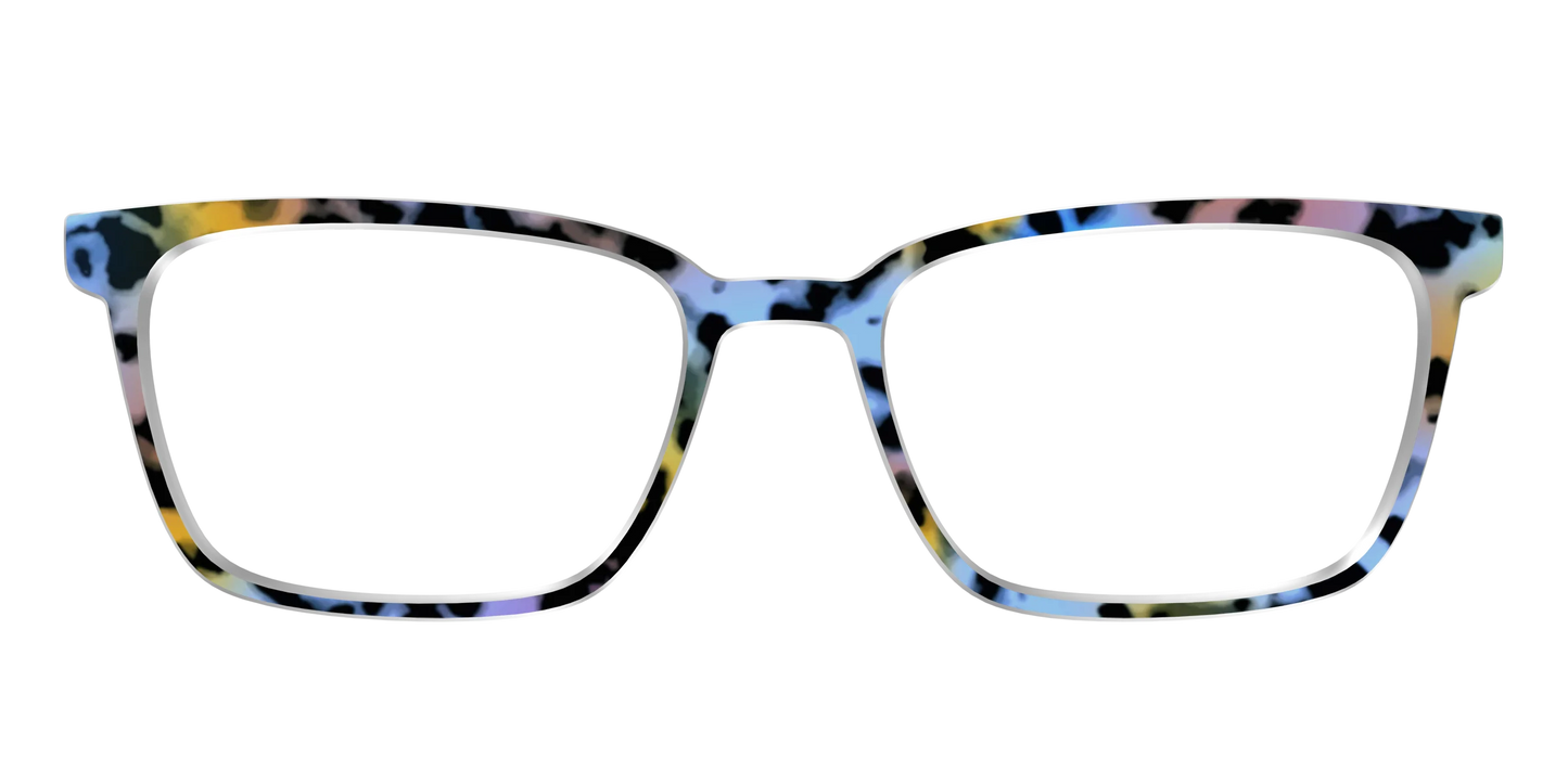 The Positano Tortoise