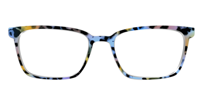 The Positano Tortoise