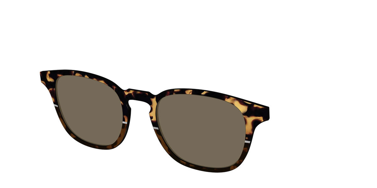 The Polarized Chic Tortoise Split Sun Top