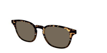 The Polarized Chic Tortoise Split Sun Top