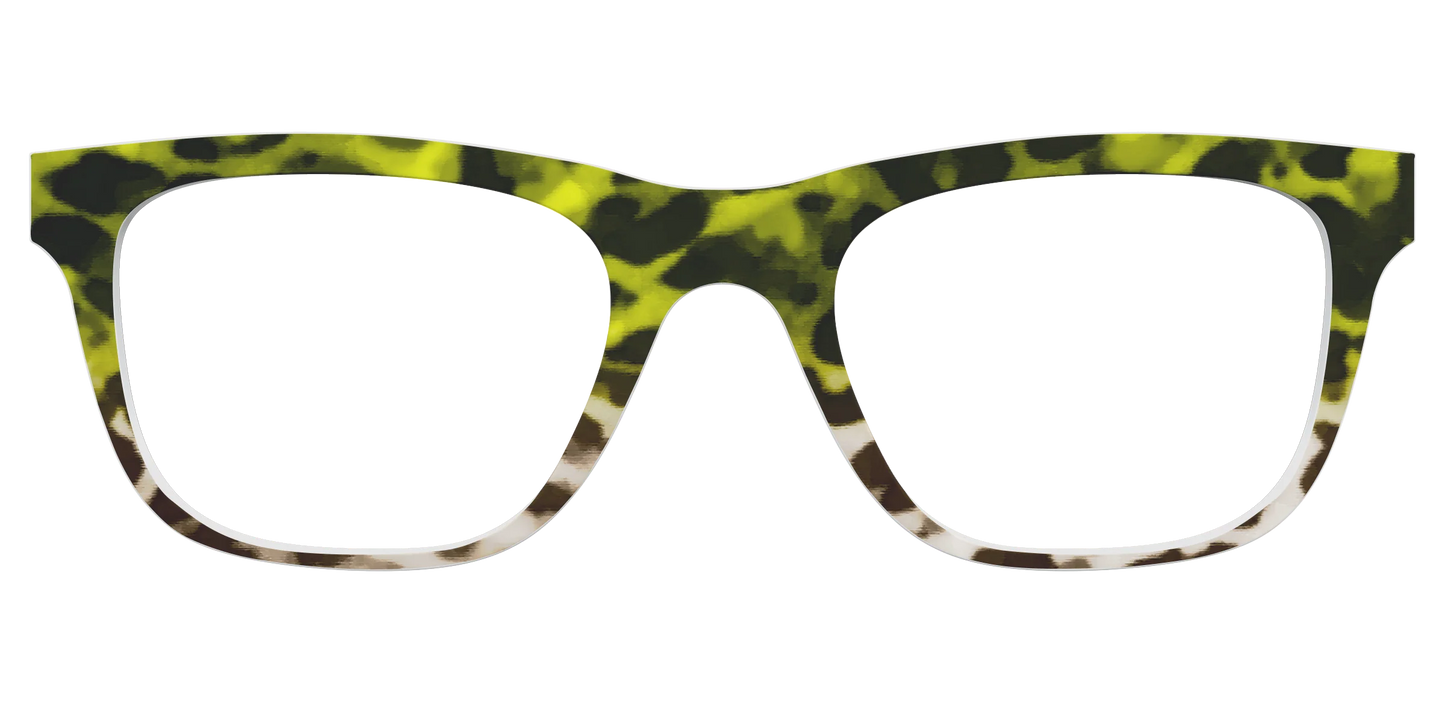 The Avocado to Ivory Tortoise