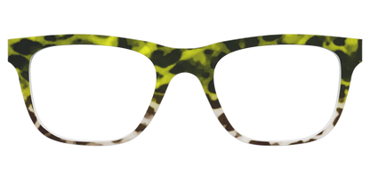 The Avocado to Ivory Tortoise