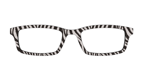 The Zebra Stripes