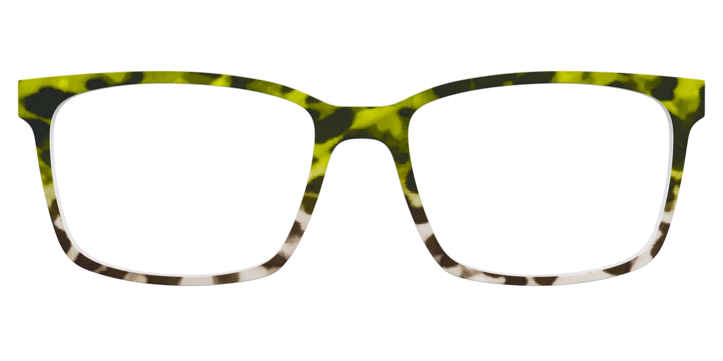 The Avocado to Ivory Tortoise
