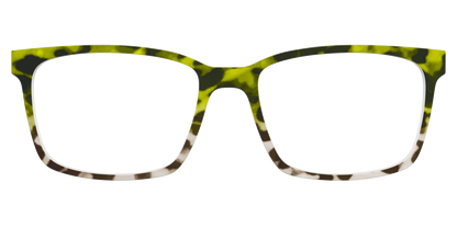 The Avocado to Ivory Tortoise