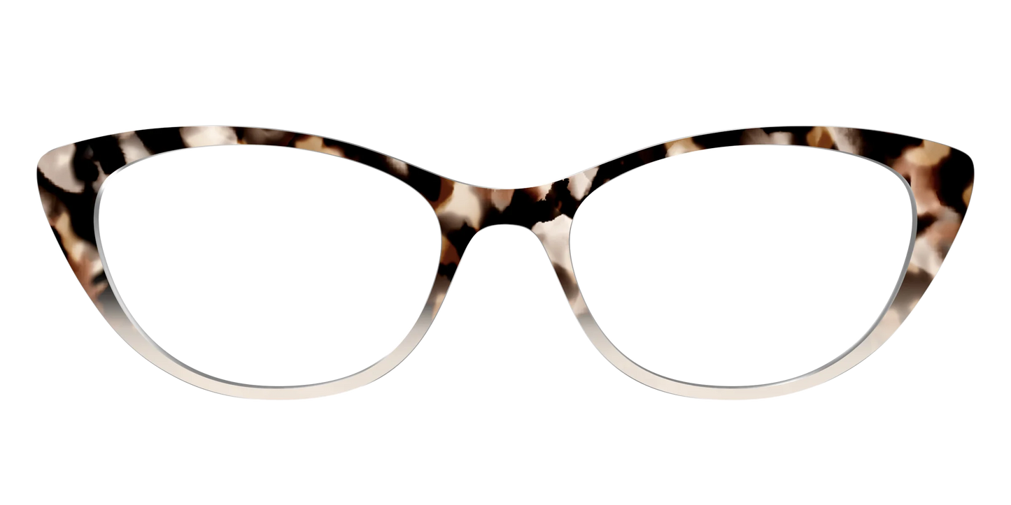 The Vanilla Latte Tortoise