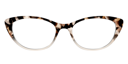 The Vanilla Latte Tortoise