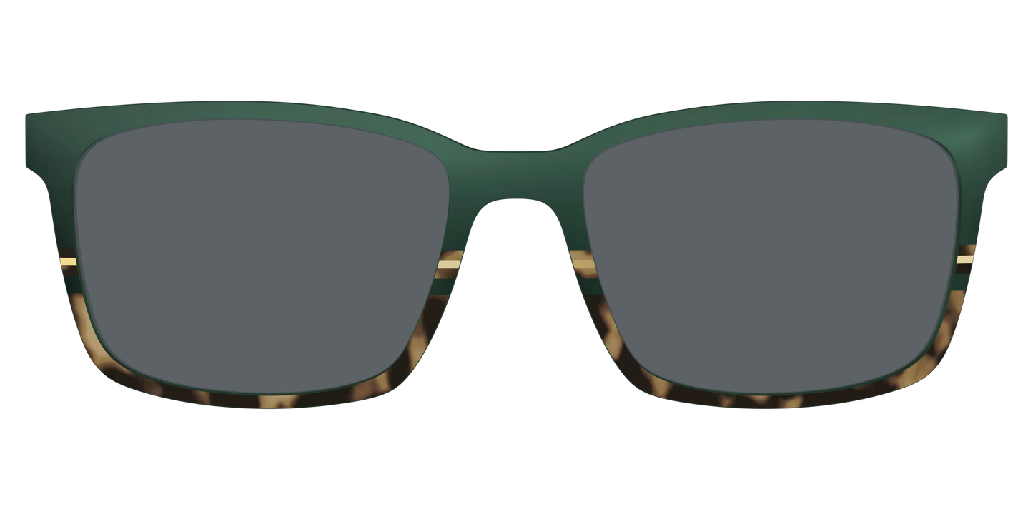 The Polarized Spruce Tortoise Sun Top