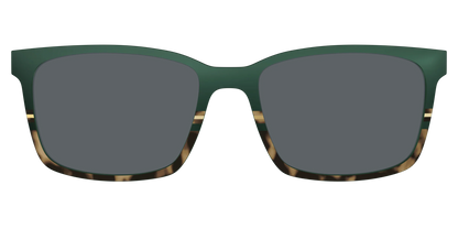 The Polarized Spruce Tortoise Sun Top